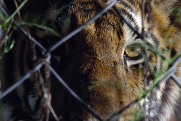 EarthisHeavenly's tweet image. Jachin can see through you, so pay heed to what's within you when he comes.