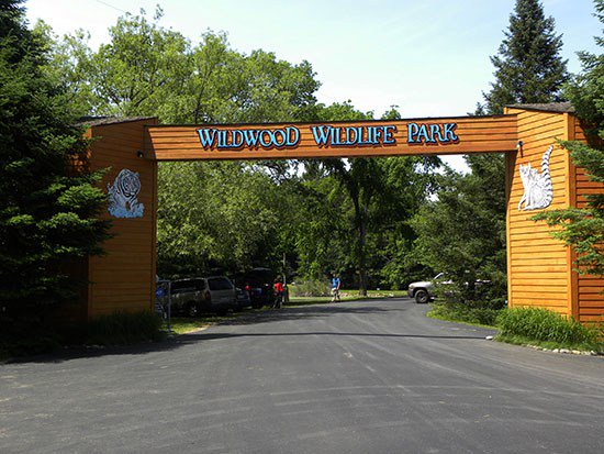 Jo Ann Wentzel tweet media