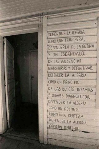 Muñe tweet media