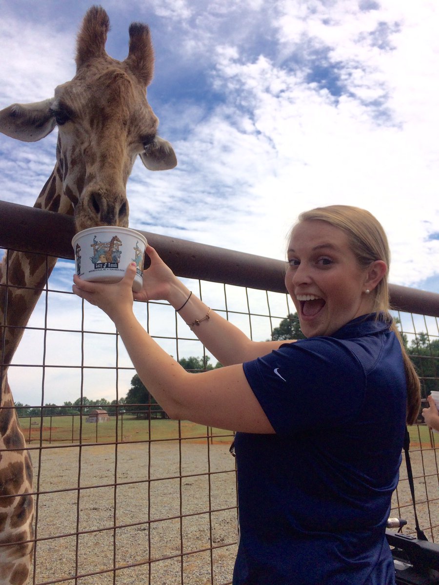 CDavisNews's tweet photo. Today I met a Giraffe at @Lazy5Ranch! Details on how their animals beat the heat tonight on @TWCNewsCLT https://t.co/hmVCzwQJsA