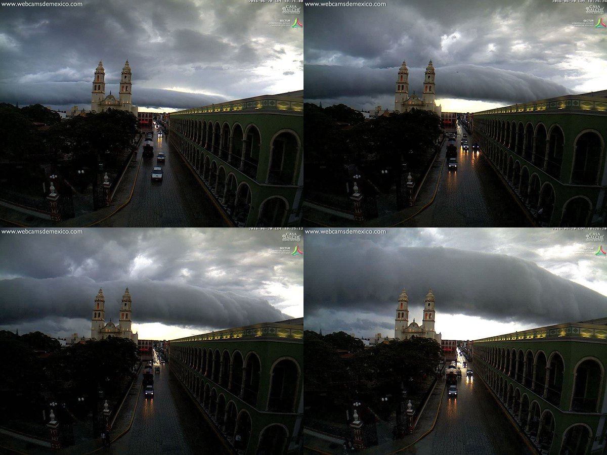 Webcams de México tweet media