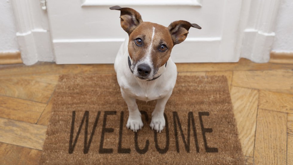 StylistMagazine's tweet photo. Up your Airbnb game with these hosting hacks from the experts https://t.co/pSdpB4fBHh https://t.co/W9bPevoiOY