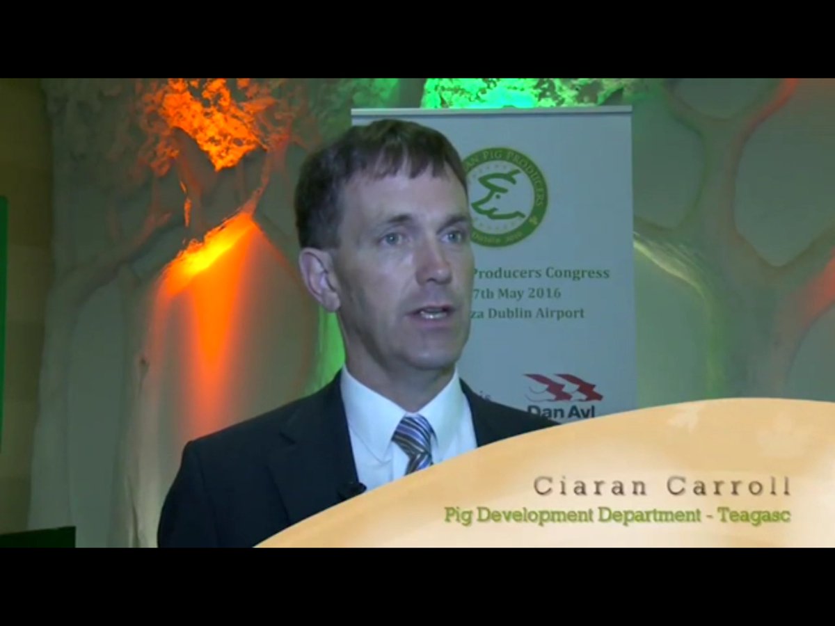 EPPDublin2016's tweet photo. @permapigs, @CarrollCiaran, Erik Thijsen &amp; Prof Paddy Wall on @irishtv Grassroots https://t.co/y4lB4LuAUA #EPP2016 https://t.co/ZJz4gXvXZz