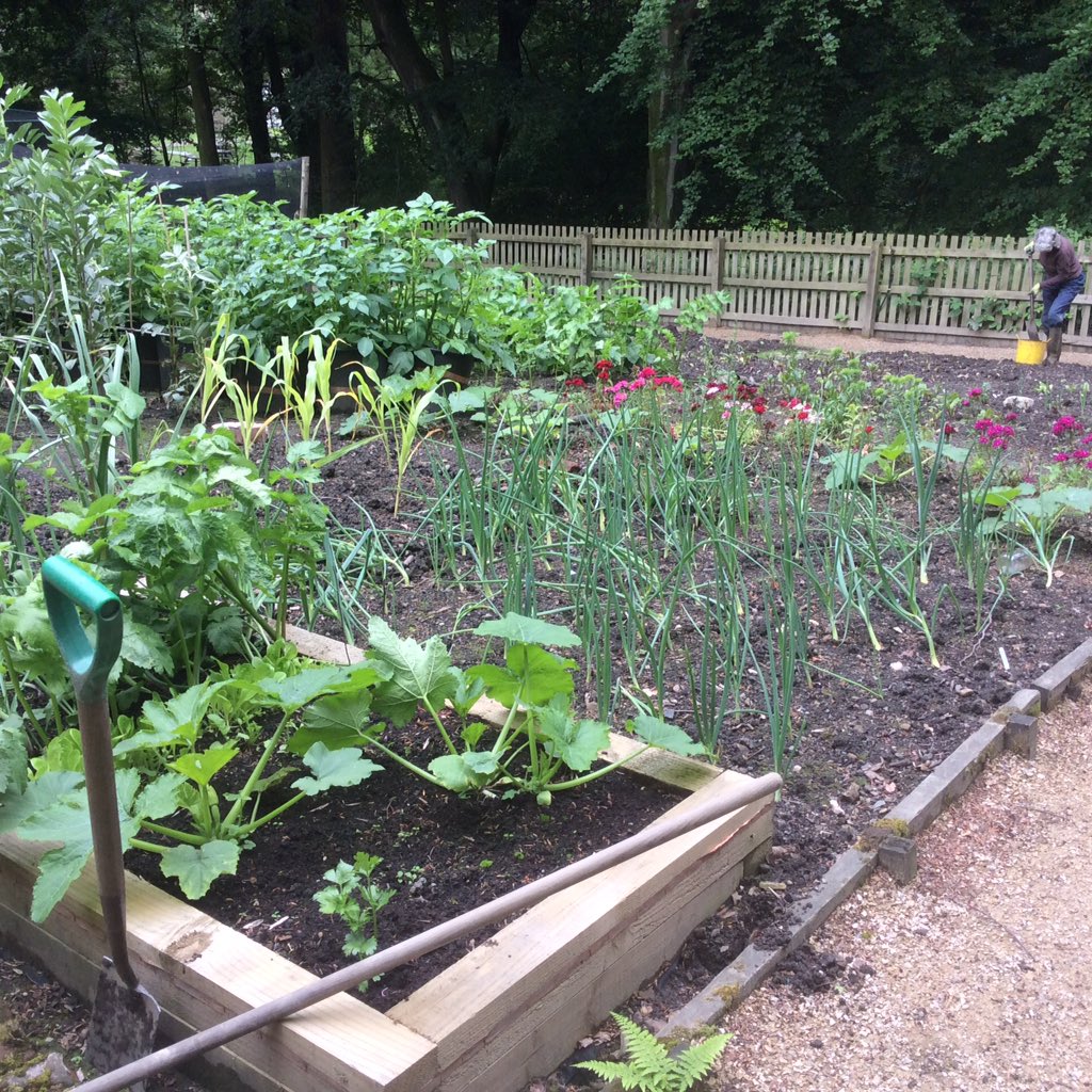 Turton TK Garden tweet media
