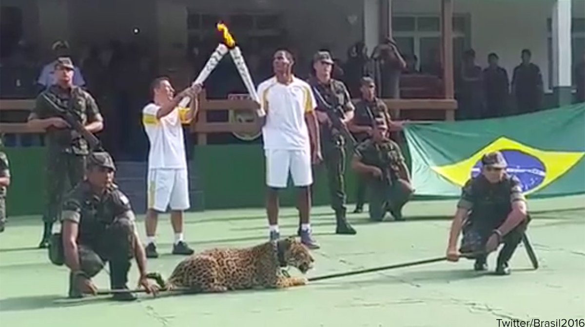 ABC's tweet photo. Jaguar used in Olympic torch ceremony shot dead after escaping leash, Brazilian army says. https://t.co/g9Gk9xGImS https://t.co/nYi0wZpBOk