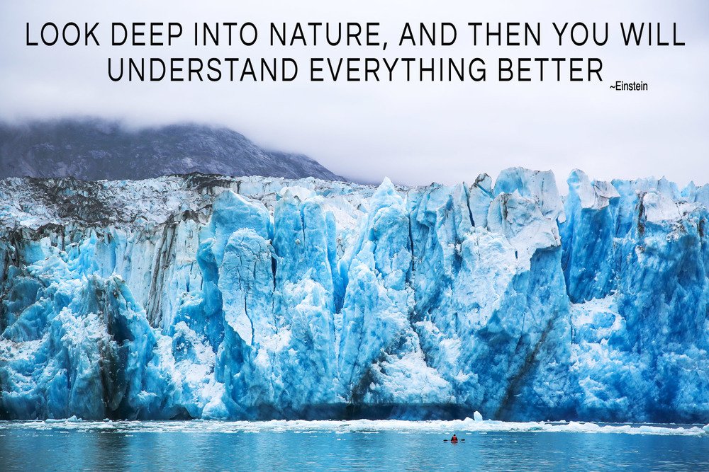 earthXplorer's tweet photo. Look Deep Into Nature, and Then You Will Understand... 

#travel #photography #Adventure 

https://t.co/ITcSqqMGfb https://t.co/8rCqSr1BOC