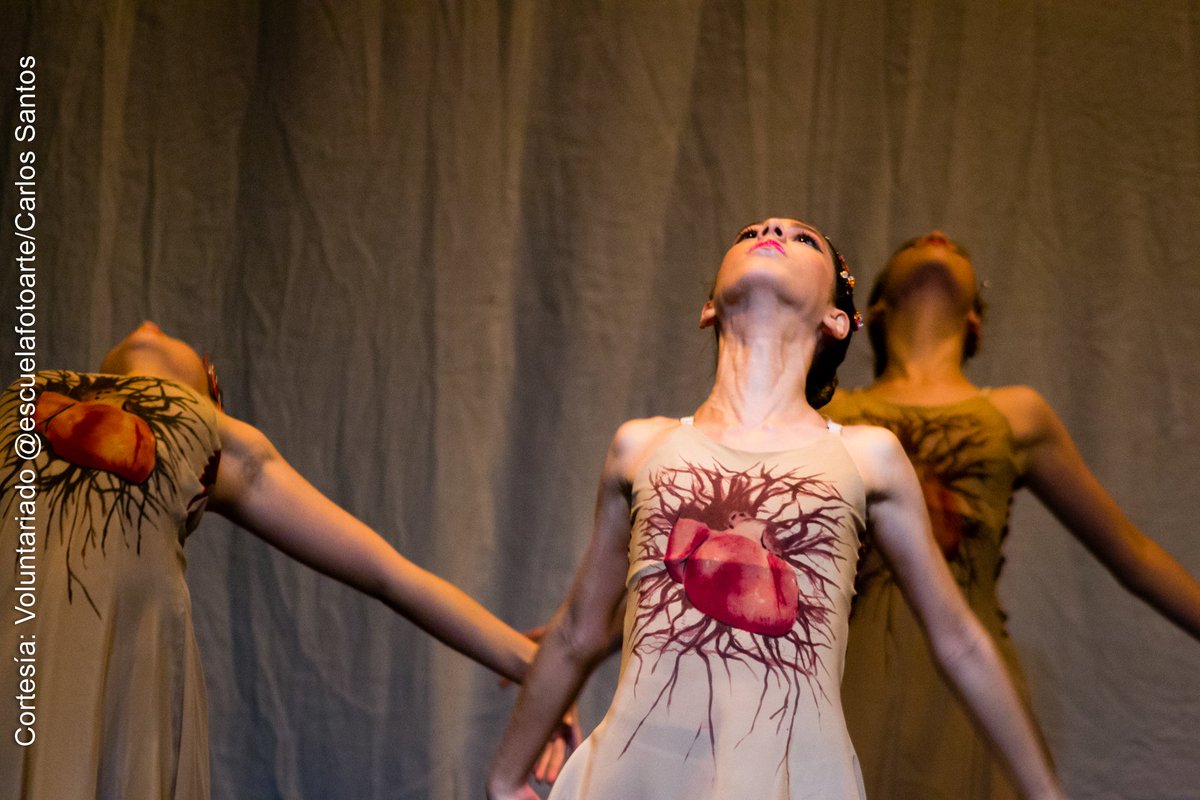 fundacnna's tweet photo. #FEDTI2016 #Fundacnna #Niños #Teatro #Festival #Celarg #Talento #Venezuela #BalletLaVictoria #PremiosFEDTI2016 https://t.co/sxRKyltXR7