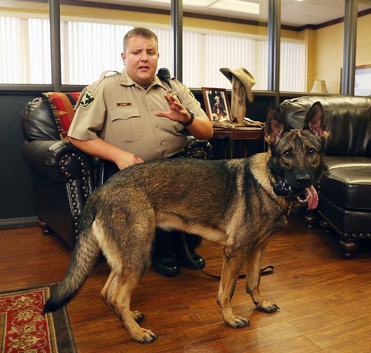 McLennan County Sheriff's Office gets new drug dog, handler. Waco