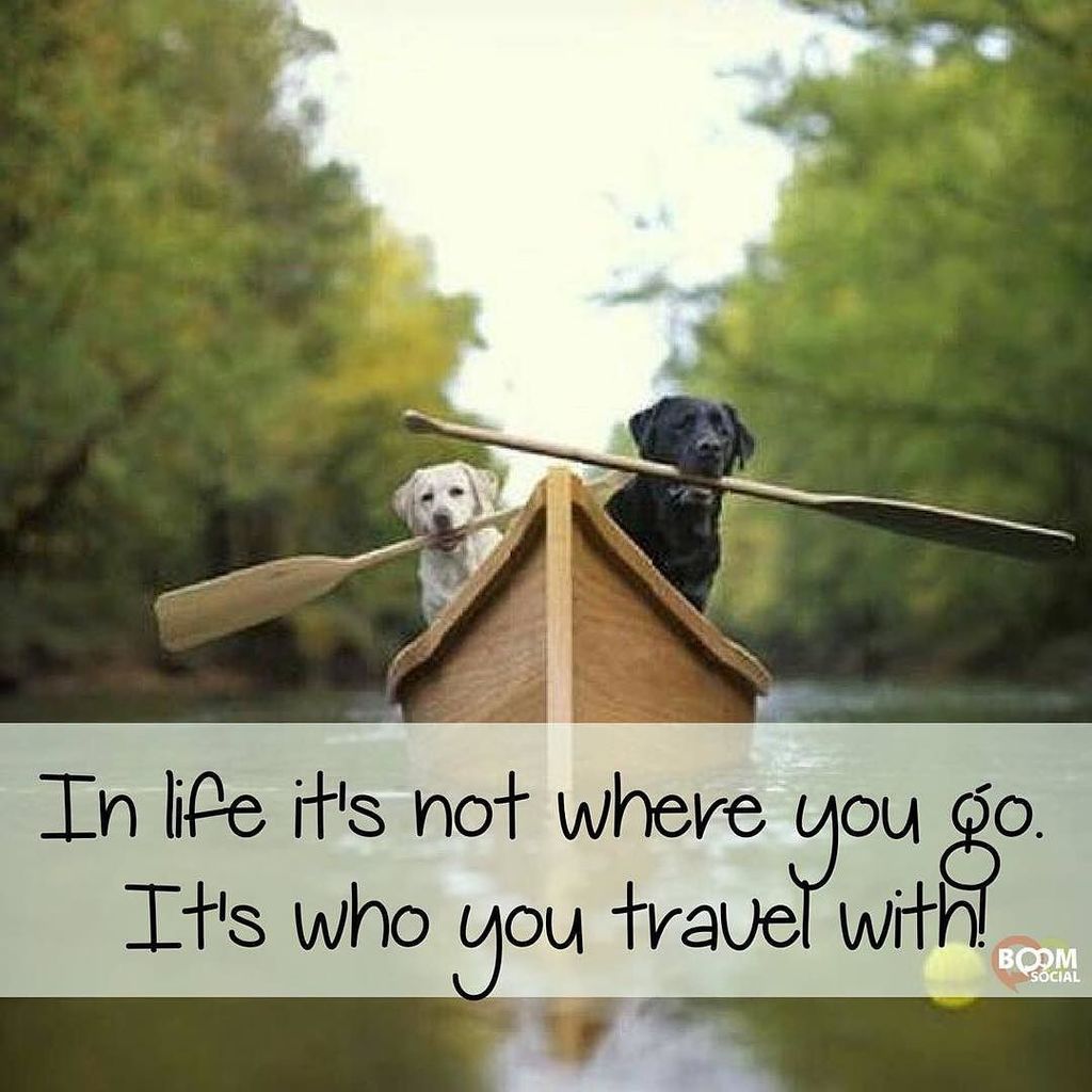 kimgarst's tweet photo. In life and in business...who you surround yourself with MATTERS! https://t.co/WYpVD36E76 https://t.co/vAHdc5ck6I