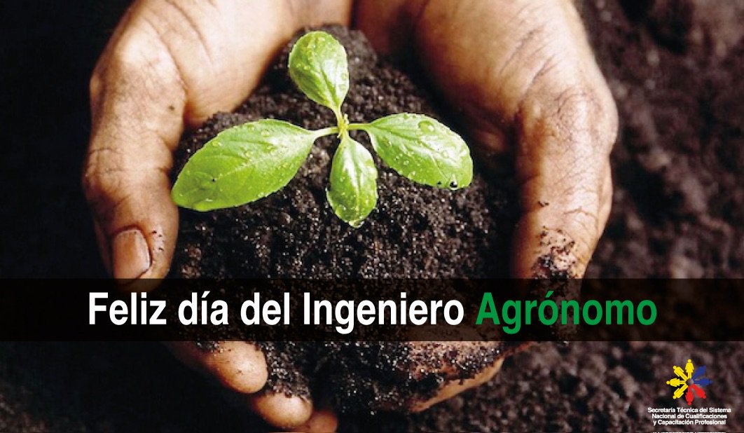 AnitaRuizC1's tweet photo. El futuro está en nuestra campo, #FelizDiaDelIngenieroAgrónomo #FIAUTM @UTMManabi @AgriculturaEc @setec_ec https://t.co/A1BOw2la2b