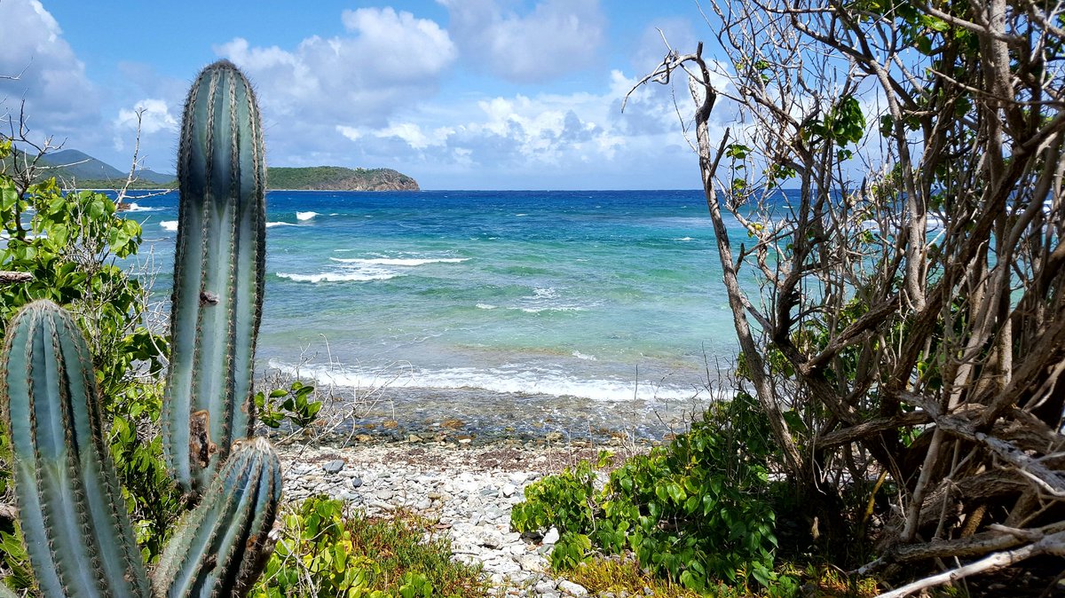 Want to know where the trail is that leads to this south shore spot, just ask! #Caribbean #USVI #traveltuesday #STJ