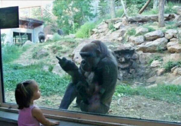 PalomitasFlow's tweet photo. jajajajaj https://t.co/y6sE6rhmHT