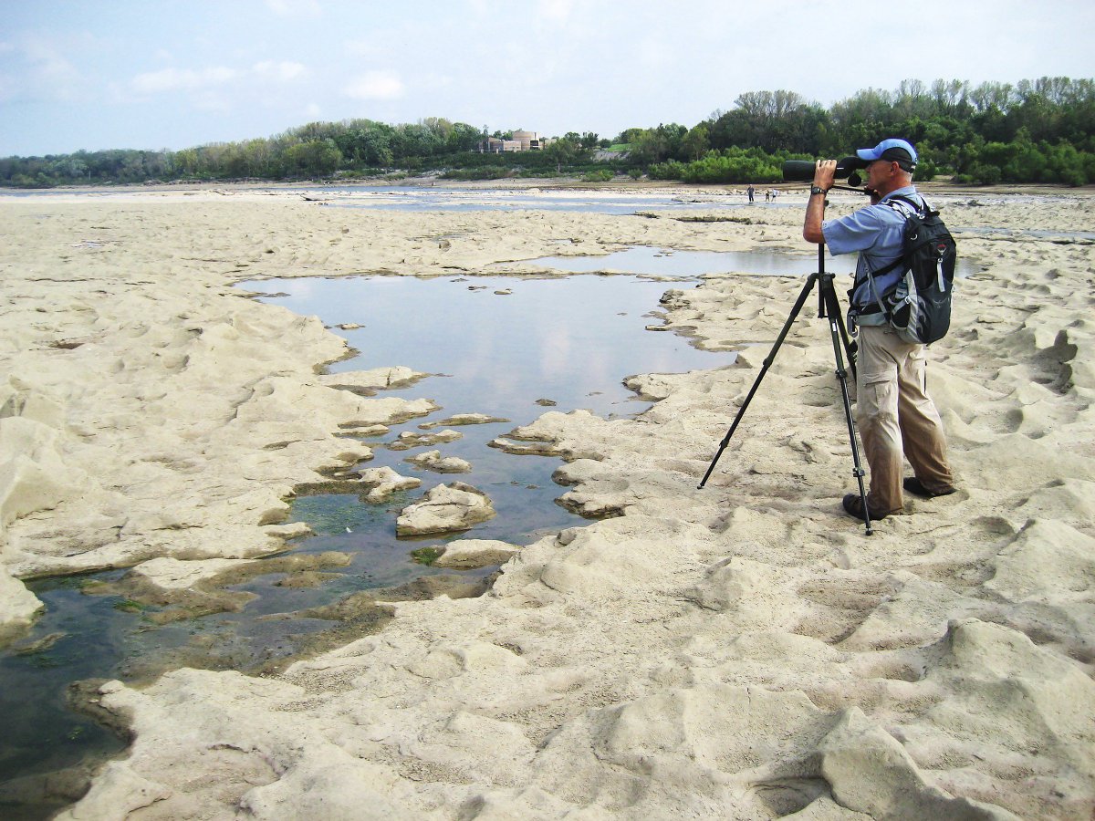 GoSoIN's tweet photo. #TravelTuesday @INDNRstateparks Falls of the Ohio. Walk on 390-million-yr-old fossils?You betcha! #Summer #VIsitSOIn https://t.co/z40rbTuAS4