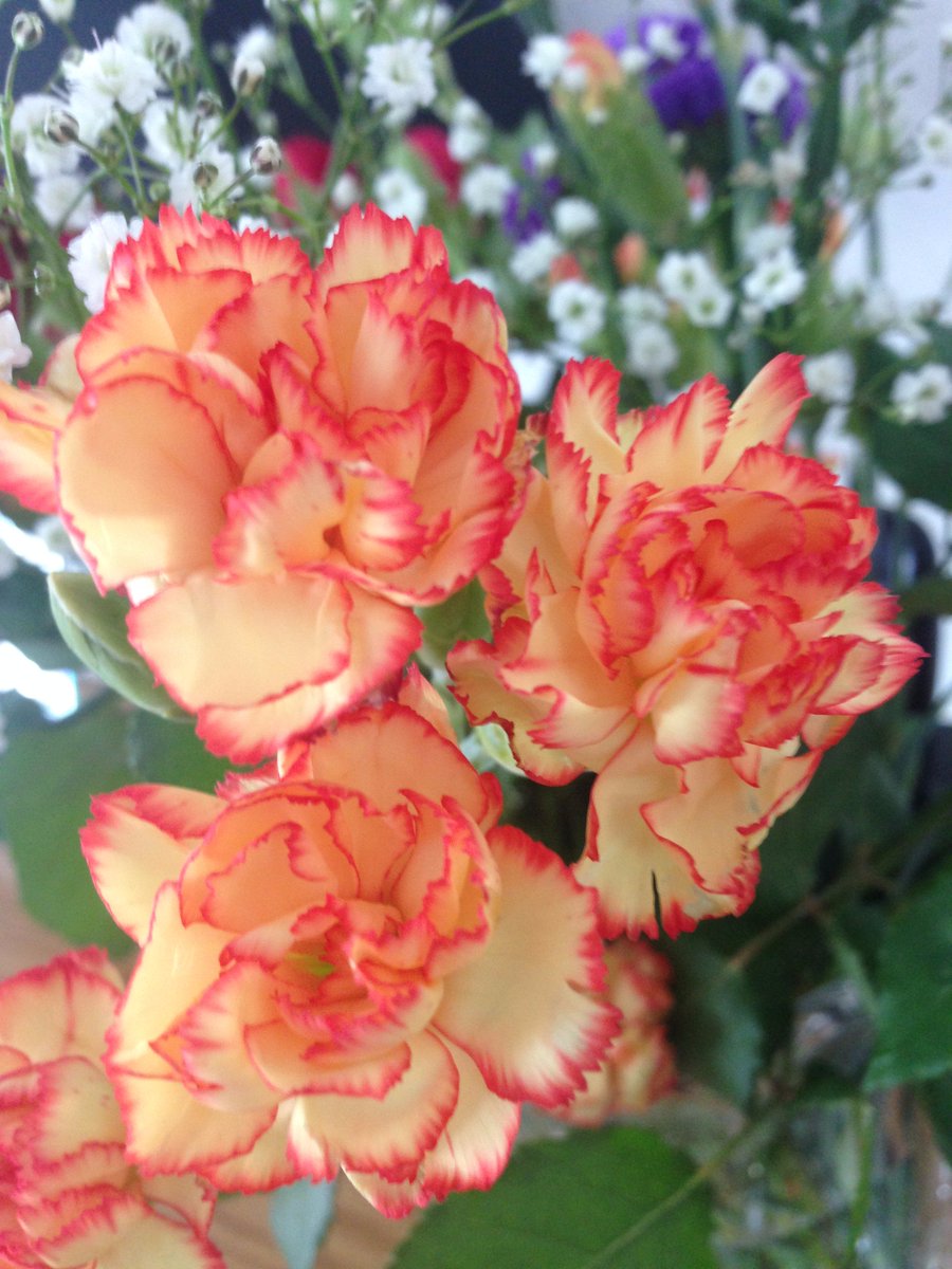 FoleyGeorgia's tweet image. natural setting