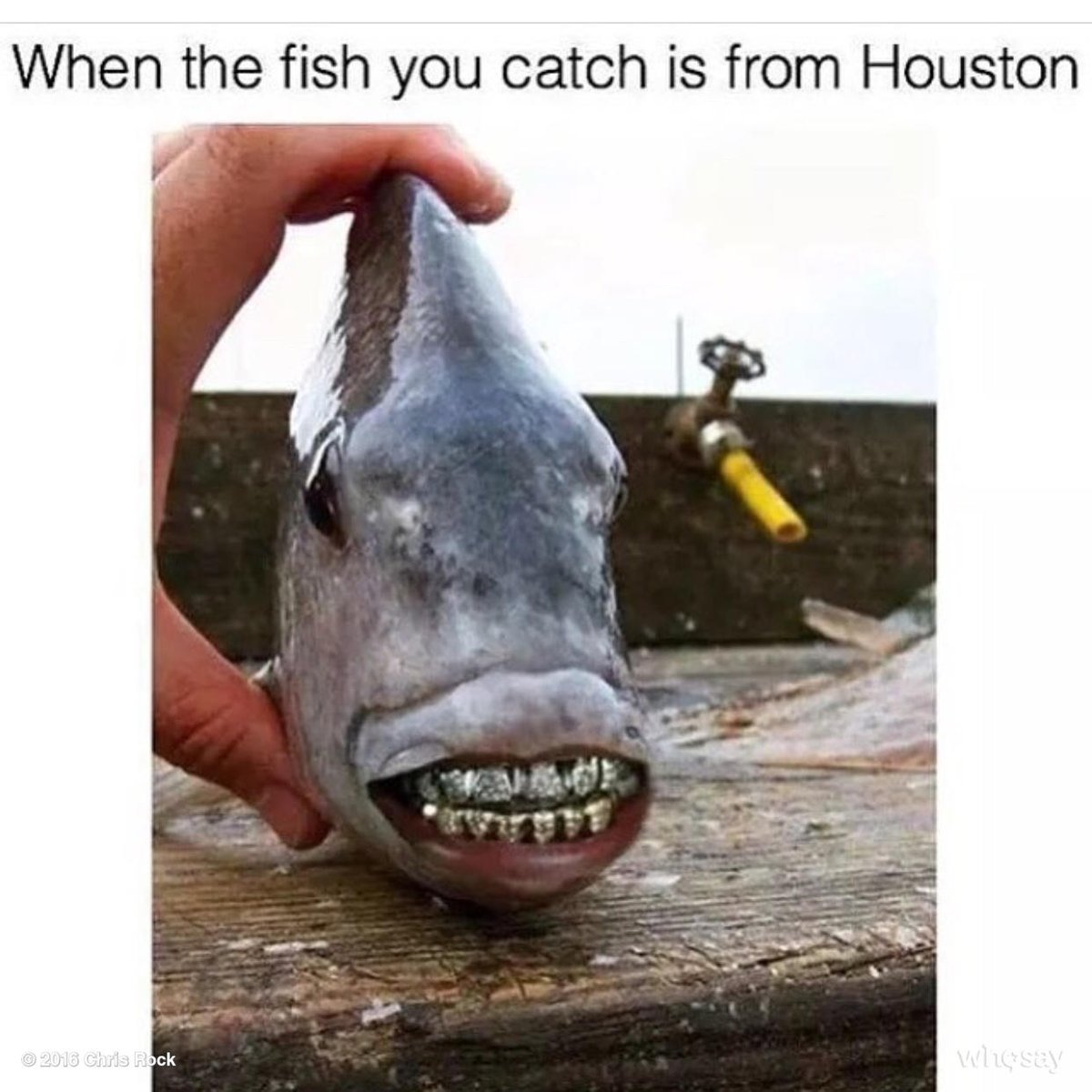 Chris Rock (@chrisrock) on X, image size:1200x1200