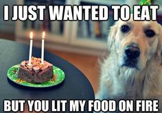 Chris_E_M's tweet photo. @MichelleMoores_ Hope you have a great Birthday! https://t.co/RgO8eQbylF