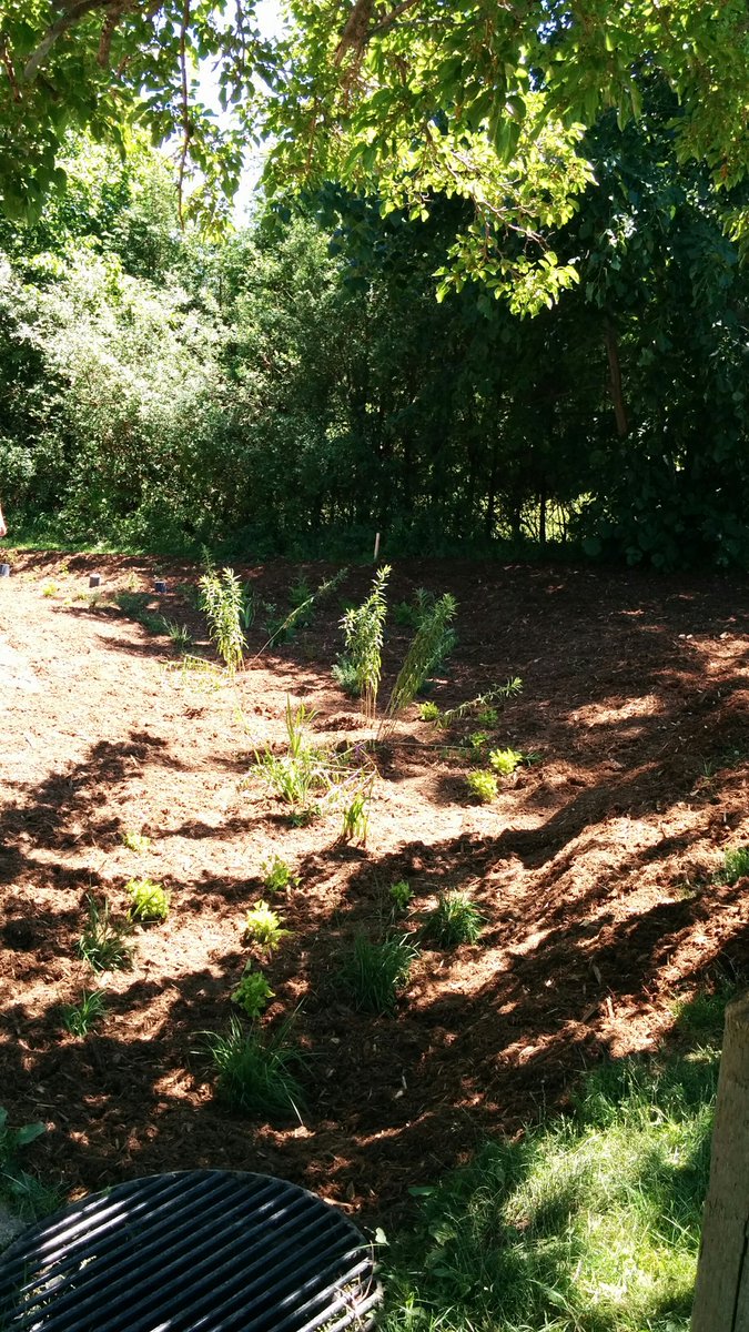 Thanks to all of the volunteers that came out to make the two Pioneer park rain gardens reality!