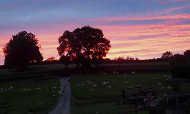 KateBeavan's tweet photo. Wowzer! Shepherd's delight... https://t.co/9AV0ggx28u
