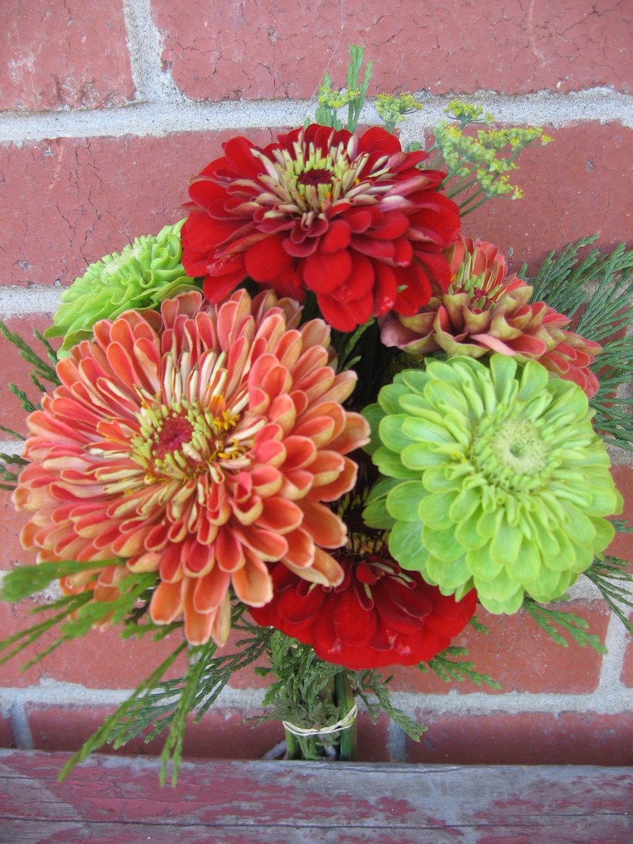 Katie Koch of Flower Mama leads Garden to Vase: Growing Cut Flowers Sat, July 9, 10am-12pm - brownpapertickets.com/event/2558253