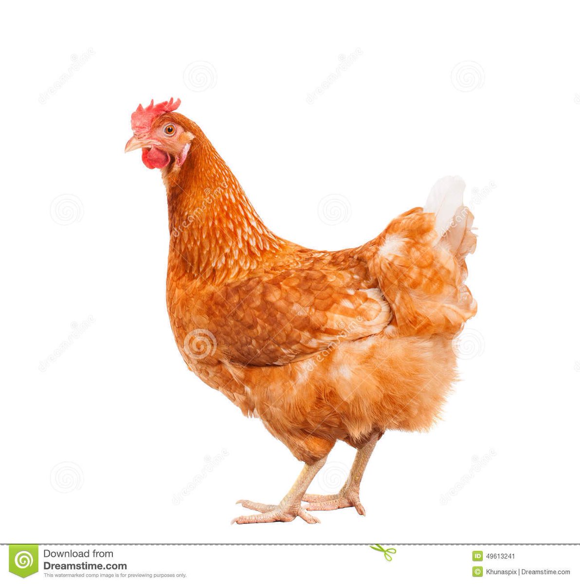 GilesVersace's tweet photo. #BBCDebate
#VoteLeave

Cameron too Chicken to appear tonight! https://t.co/daypX9WH68