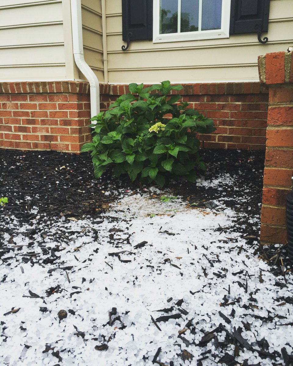 stephmasonrn's tweet photo. @nbcwashington #hailstorm #purcellville https://t.co/pvGMLUB6Yx