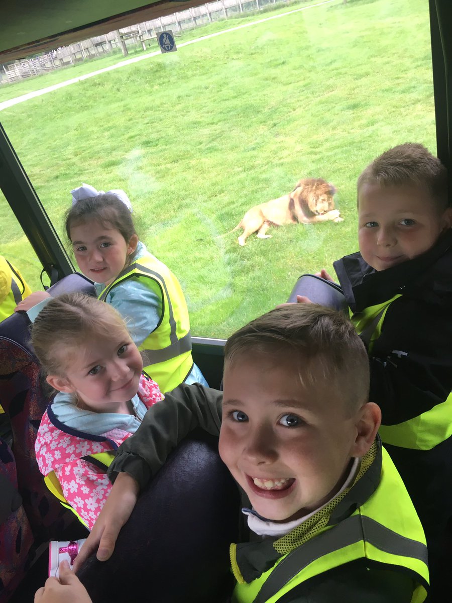 primary_2b's tweet photo. We got to see The Lion King come to life 😀🦁 @BlairDrummondSP https://t.co/qNrvwsWXWX