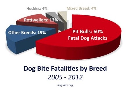 SouthBayNotes's tweet photo. "Statistics show that #pitbulls tend to be more involved in fatal dog attacks..." https://t.co/8Bgep8YABX https://t.co/kK8sAFfsIu