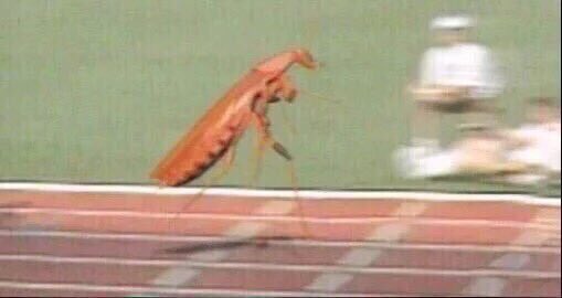 CoachZem's tweet photo. And all of the drug cheats come out into the light during an Olympic year like... https://t.co/XpkuAZlKSN