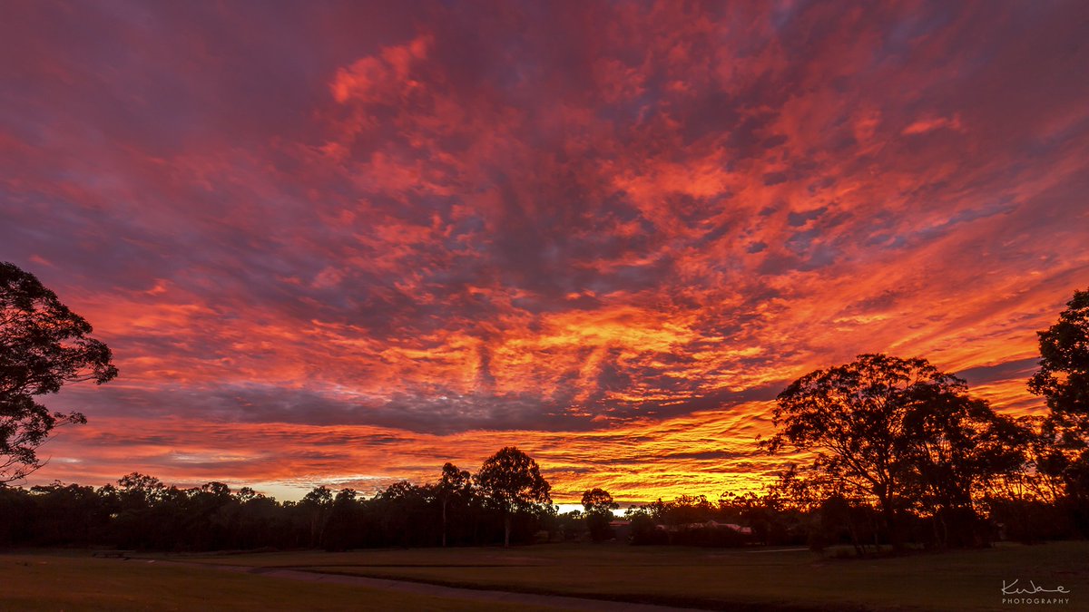 kenwarephotos's tweet photo. Simply the most stunning sky this morning! @612brisbane #sunrise #bnesunrise https://t.co/TGgSFNTzut