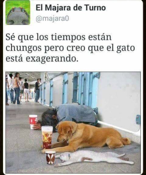 vane_vgl's tweet photo. @marii_mntlbn,ajjajaja https://t.co/MYNYMUbyog