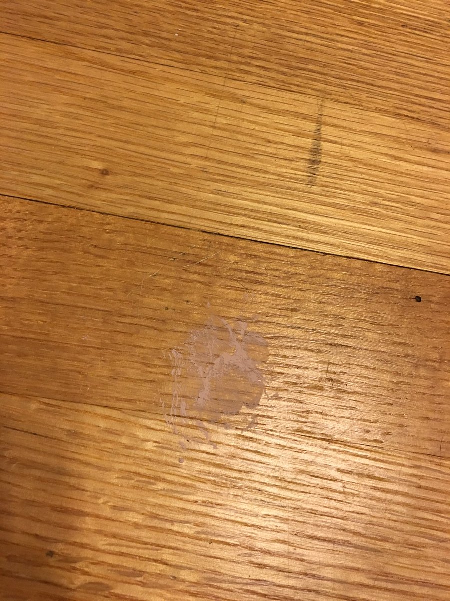 LaundryThief's tweet photo. I got into Mahm's paint last night. It's on my paws, whiskers and butt! https://t.co/0Q5o7aAhzg