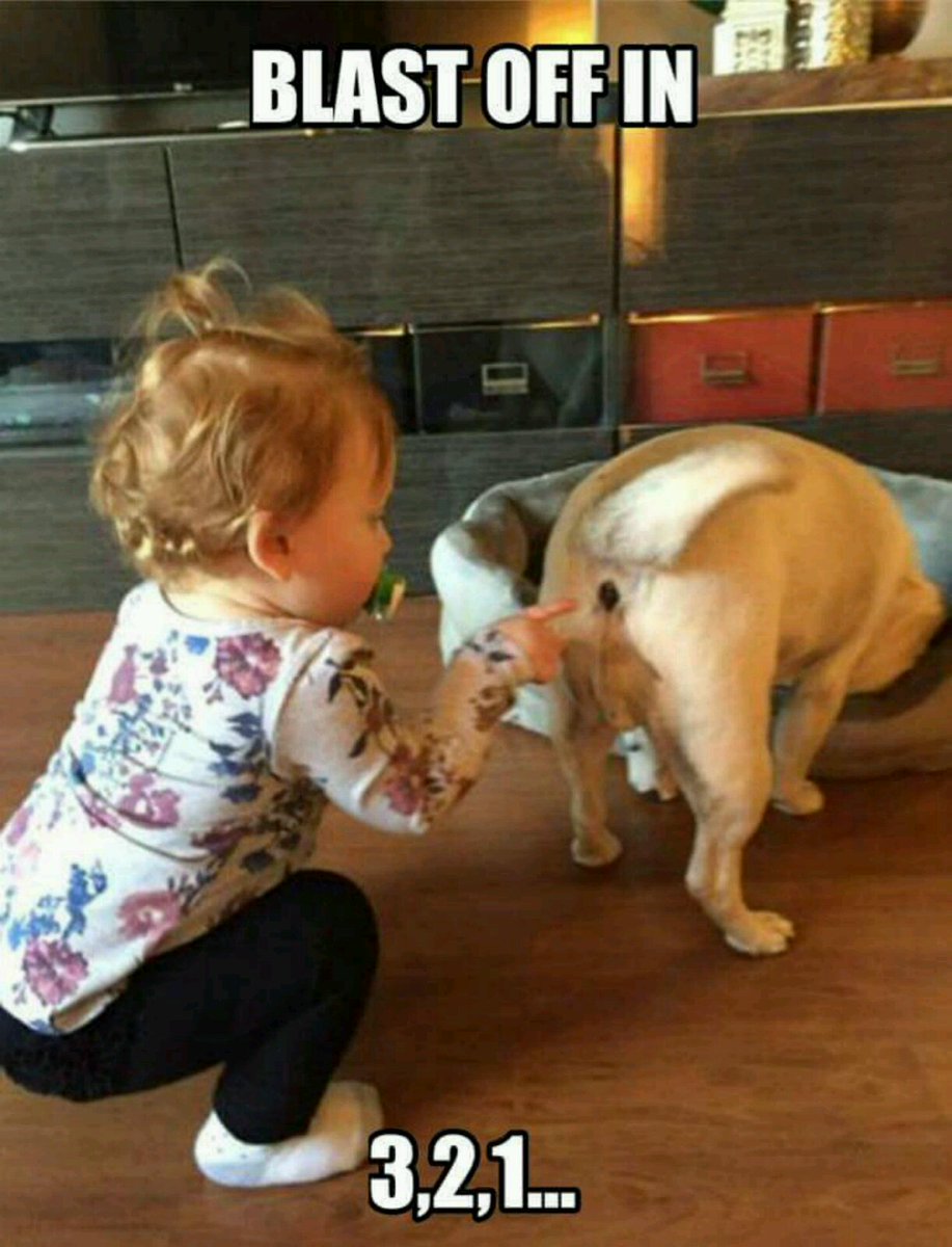 explamphibian's tweet image. For @ThatKevinSmith they do show them! #BabbletheFuckOn #SMODCo @RalphGarman