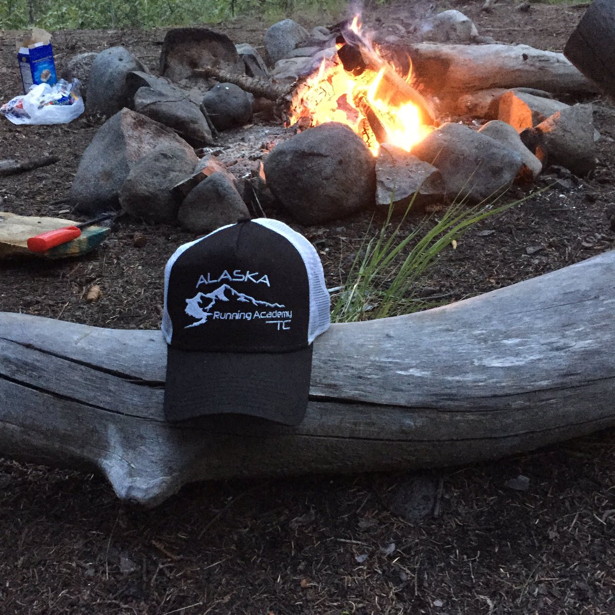 AlaskaRunning's tweet image. 