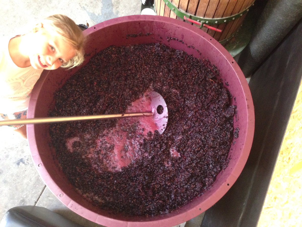 Johnno about to jump on air @abcballarat to talk all things Shiraz. Tune in! 107.9 fm #pyreneeswine #grampianswine