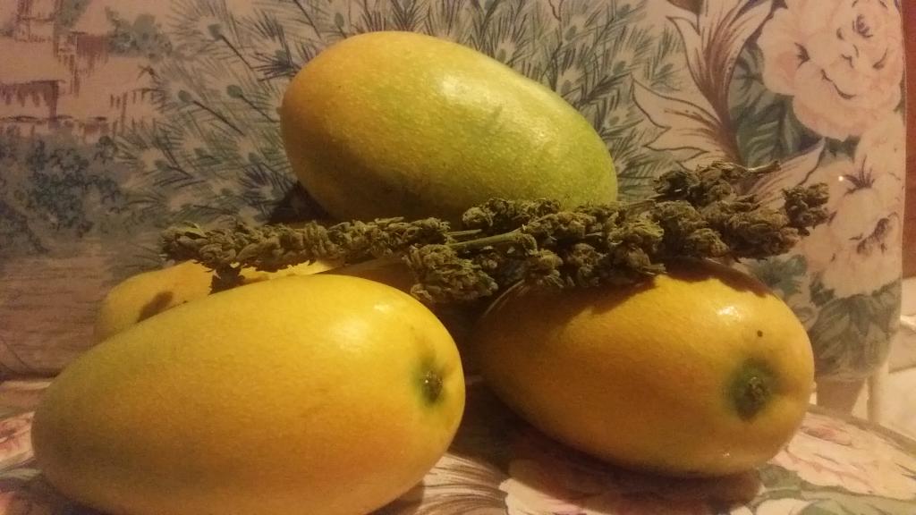 Fresh fruits and herbs <a href="/ingrid_timbeta/">Ingrid #timbeta</a> <a href="/santi_goncalves/">Santiago Gonçalves</a> <a href="/joserom69702423/">jose romero</a> <a href="/joaogrilo16/">João Luis Gonçalves</a> <a href="/PinheiroportoRp/">Ricardo Beta</a> <a href="/sidney_sara/">*sorrir faz bem a saude</a>