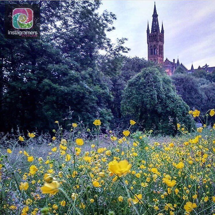 Igers Scotland tweet media