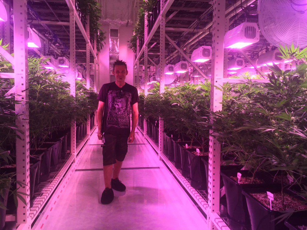 AN4Eljay's tweet photo. In the grove facility in Vegas and WOW! #advancednutrients https://t.co/p3iUA7WFd4