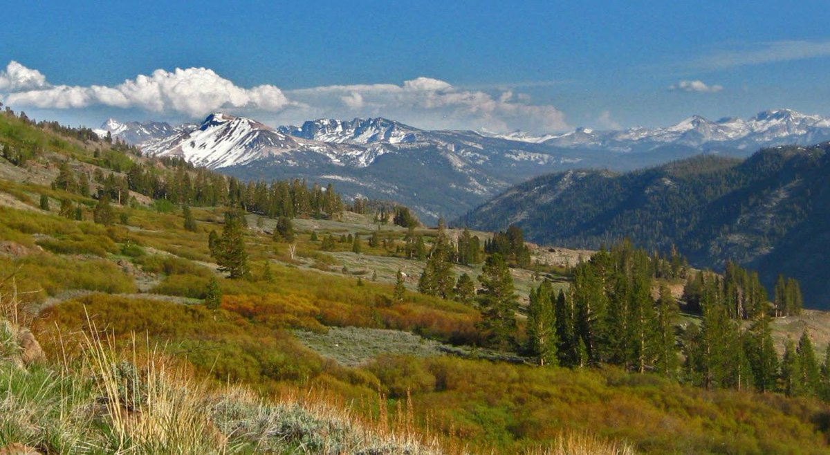 "Only a life lived in the service to others is worth living." - Albert Einstein #NewportMed