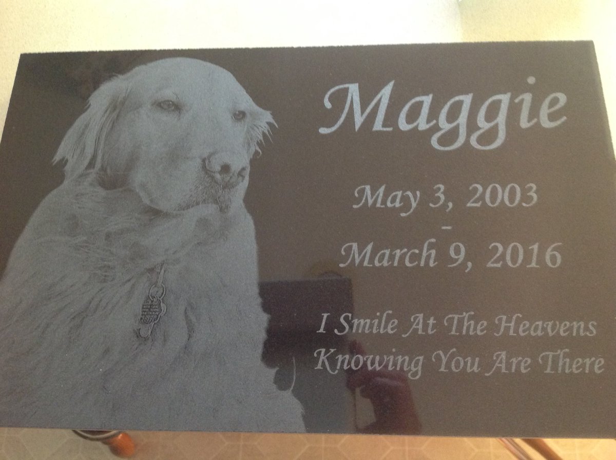 MaggsTheGolden's tweet photo. A plaque we had made in memory of Maggie. https://t.co/eI4XBYgoP8