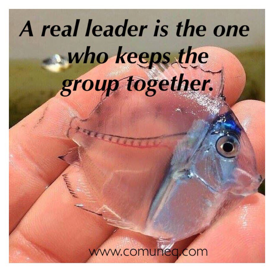 comuneq's tweet image. #leadershipskills #management #teenager #parenting #communication #lifechanging #mentaltoughness #comuneq #school