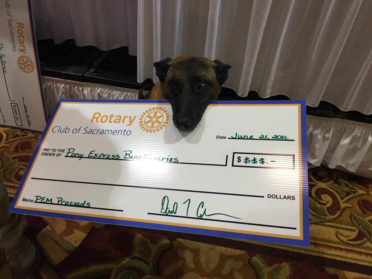 RunPonyExpress's tweet image. 100% of our proceeds go to charity &amp;amp; Dasco from @alphak9916 got his check today. #BibChat #bqchat #pem2016