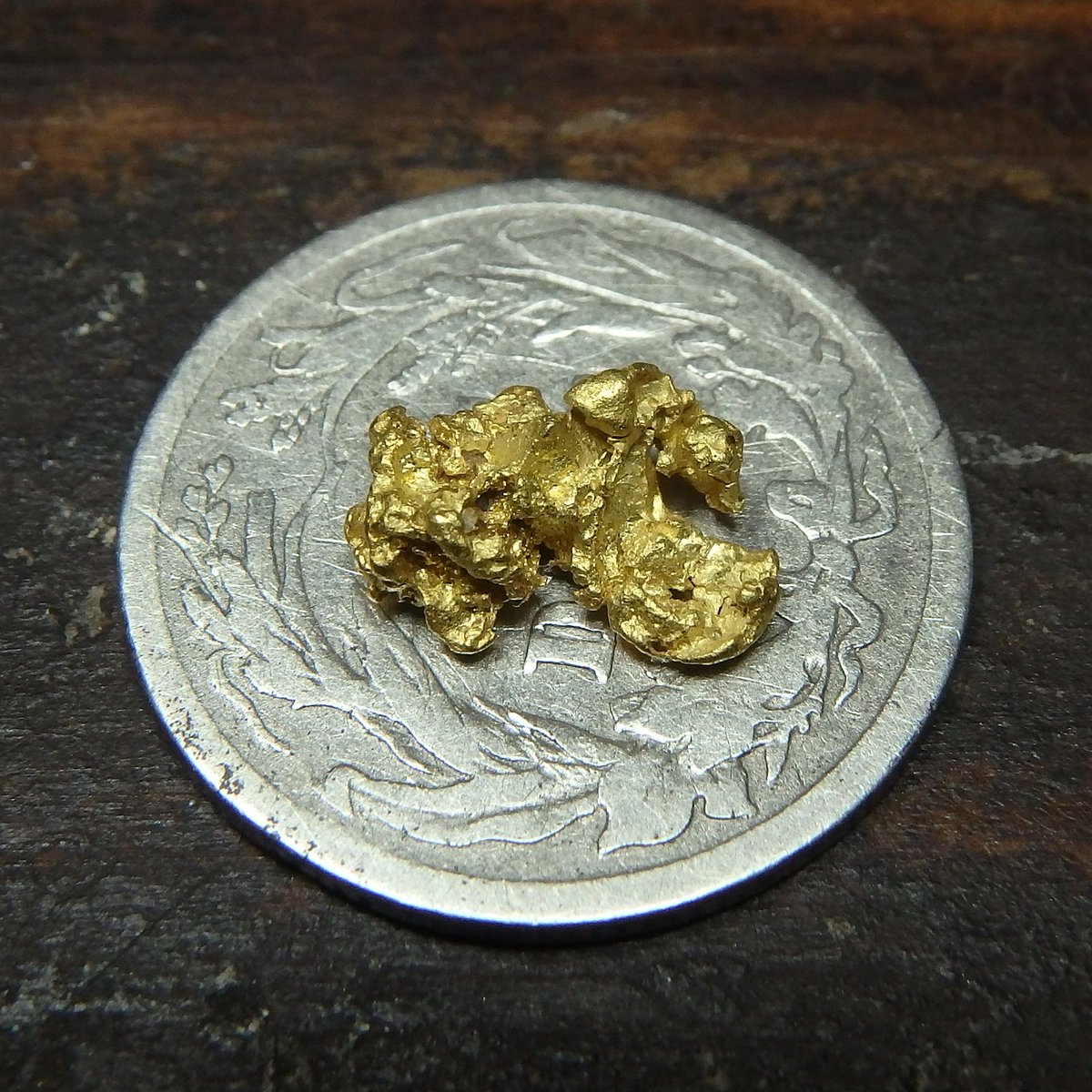 sluicelee's tweet photo. I found this last year #highbanking, the biggest #piece I've found since I started #goldprospecting. #gold #bedrock https://t.co/w4esifjuHz