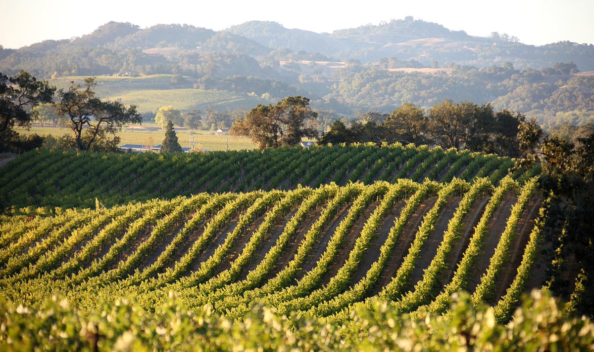 Alexander Valley is named for the 19th-Century pioneer Cyrus Alexanderhttp://ow.ly/gB3n301tdRs