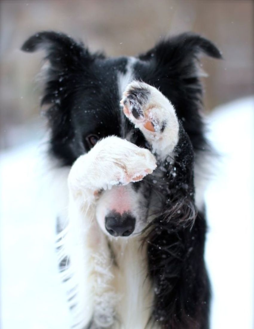 tpolokru's tweet photo. #укладка_теплого_пола всерьез и надолго - вот основная задача специалиста. https://t.co/zgERLCDoYz https://t.co/Qo1R3uEq0T