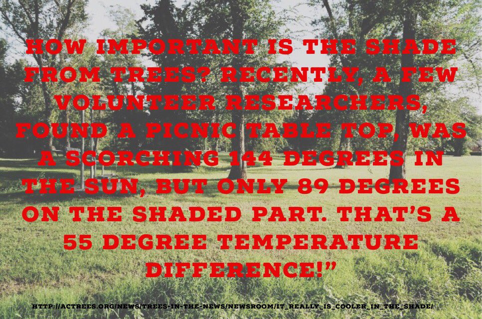 EnidTrees's tweet image. 