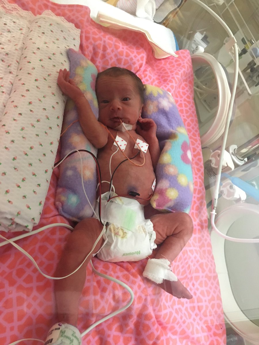 celinalanders's tweet image. But look how cute she is