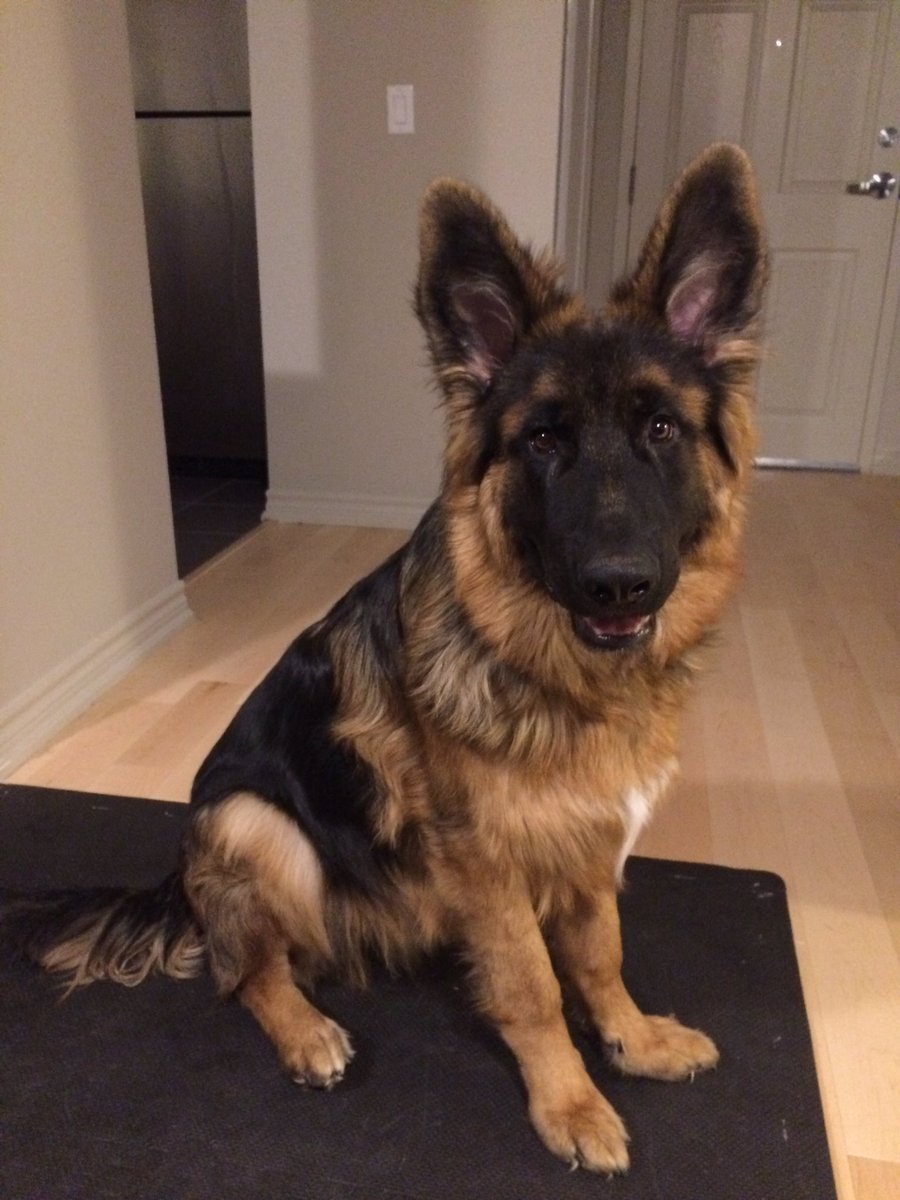 underflowR's tweet photo. Big boy! https://t.co/zjjzniDq53