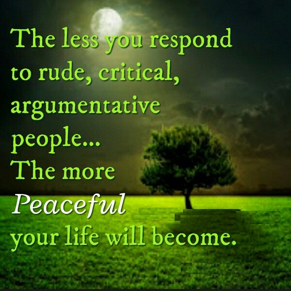 ProgramBarcode's tweet image. "The less you respond to #rude, critical, argumentative people, the more..."
#criticalthinking #PeacefulResistance