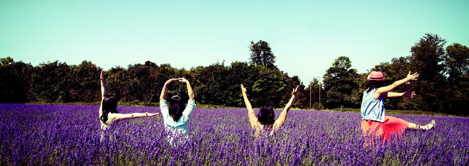EverythingEpsom's tweet photo. With warm & dry weather predicted this weekend, take a visit to @LavenderSurrey https://t.co/q4eNKSpI4r #epsomlocal https://t.co/mYqfEDI9a3
