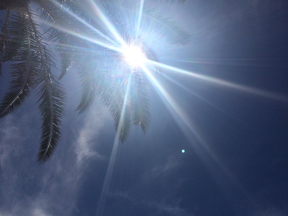 hellocroatian's tweet photo. Enjoy the day! #brac #summer #hellocroatian https://t.co/GmJCW5klSe